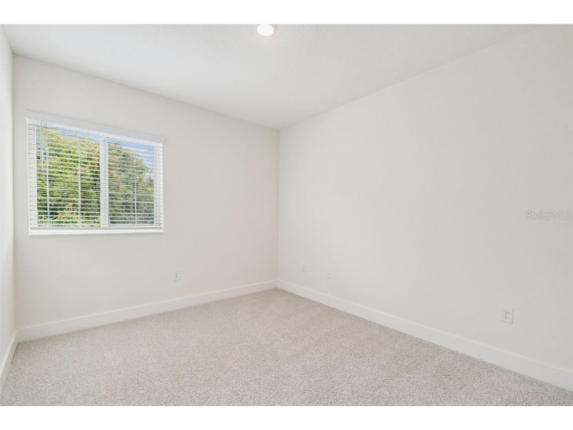 11311 Striped Bass Court New Port Richey FL 34654 TB8401065 image55