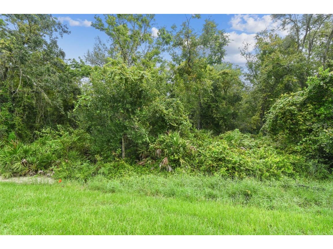 11311 Striped Bass Court New Port Richey FL 34654 TB8401065 image86