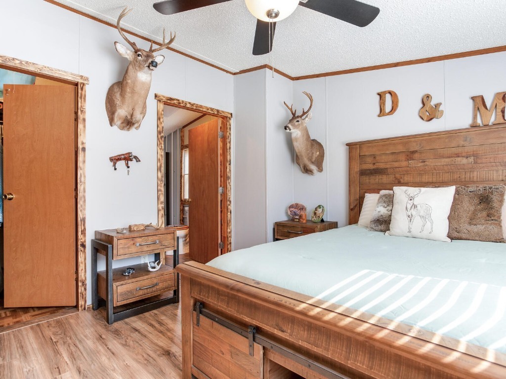 11312 Colding Road Wimauma FL 33598 TB8336904 image20