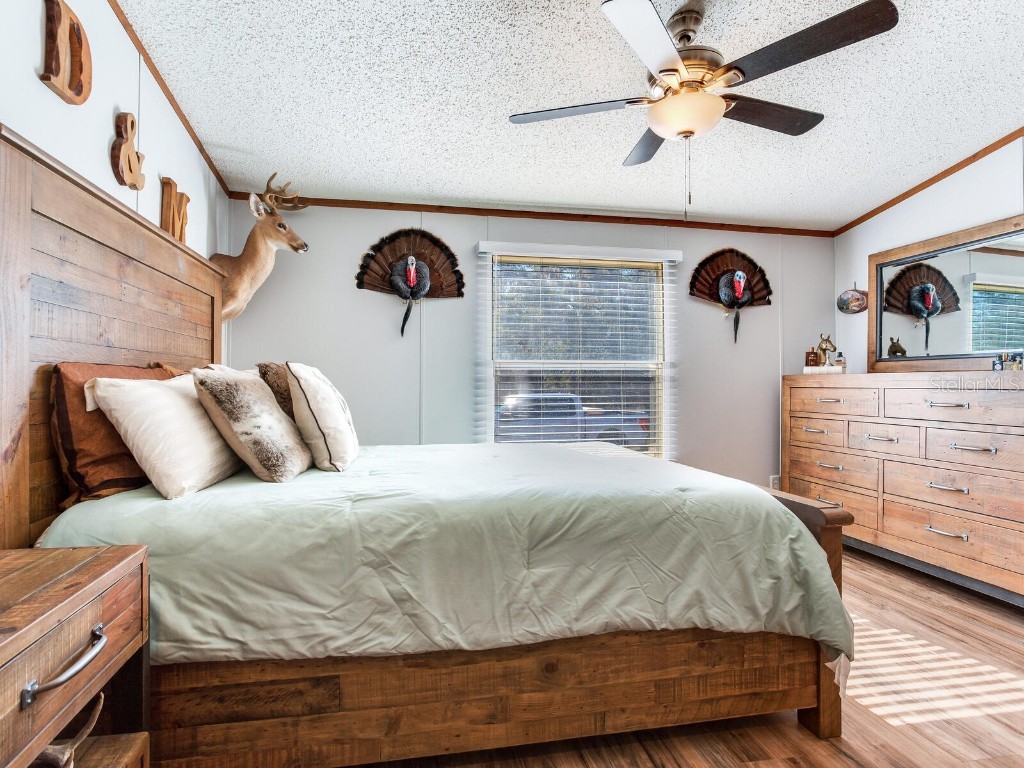 11312 Colding Road Wimauma FL 33598 TB8336904 image21