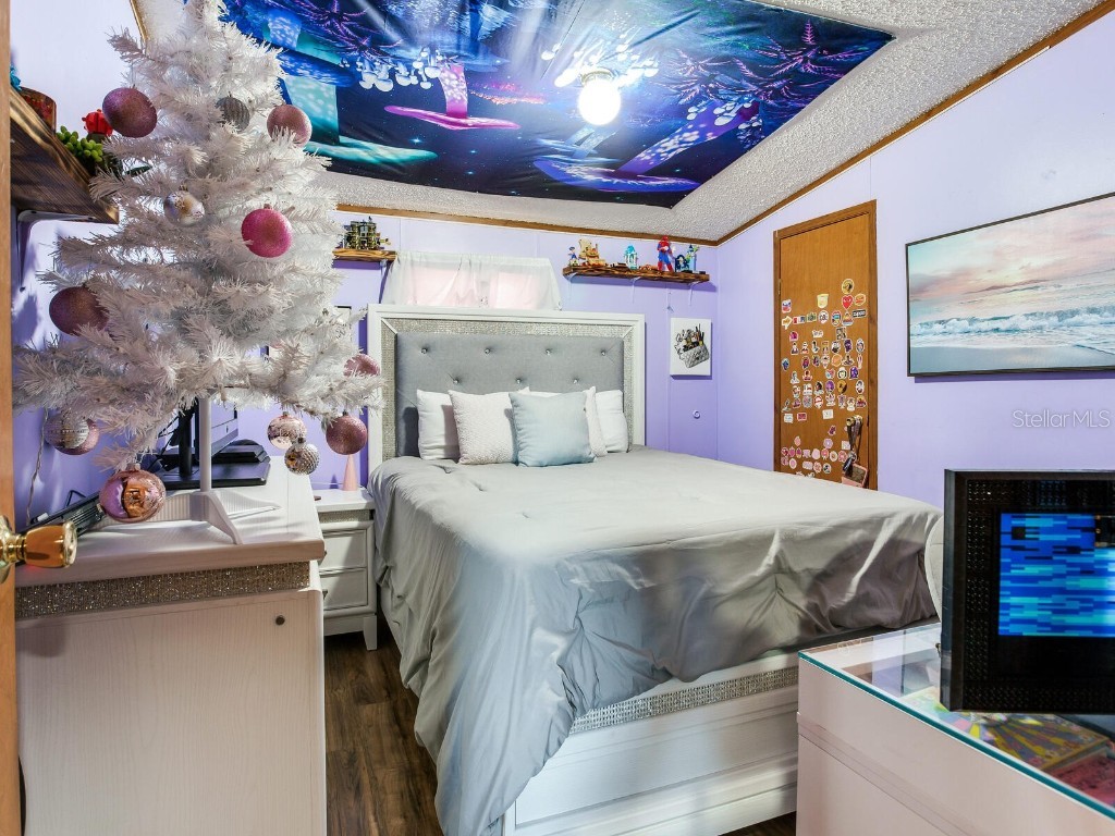 11312 Colding Road Wimauma FL 33598 TB8336904 image25