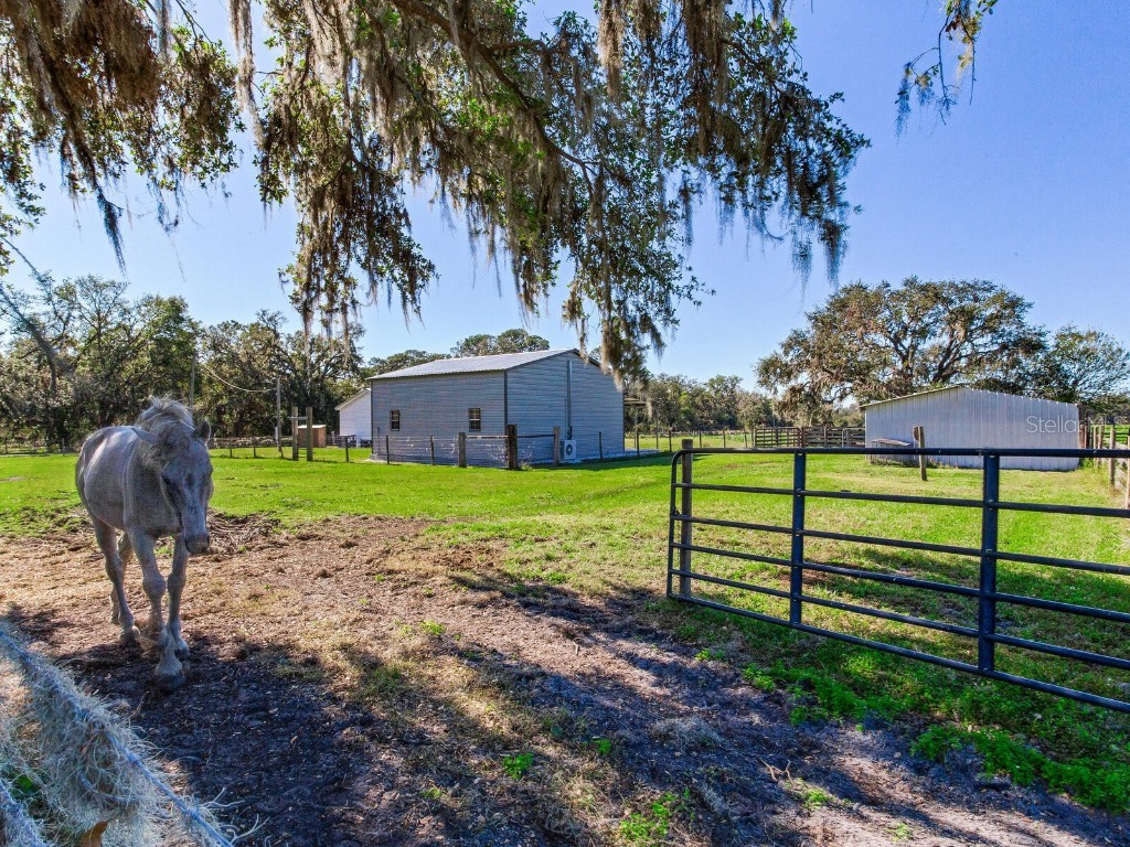 11312 Colding Road Wimauma FL 33598 TB8336904 image75