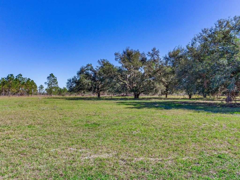 11312 Colding Road Wimauma FL 33598 TB8336904 image79