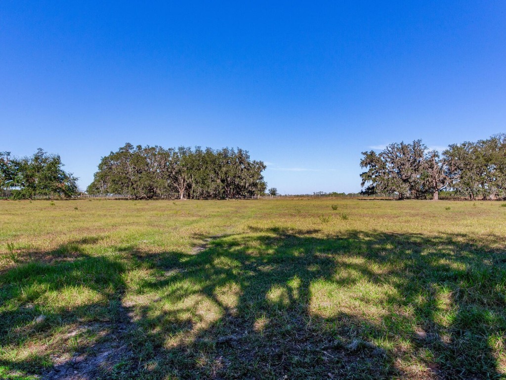 11312 Colding Road Wimauma FL 33598 TB8336904 image81