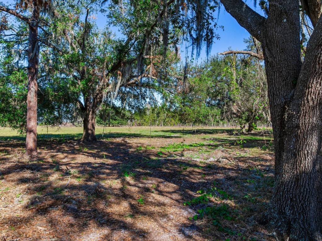 11312 Colding Road Wimauma FL 33598 TB8336904 image88