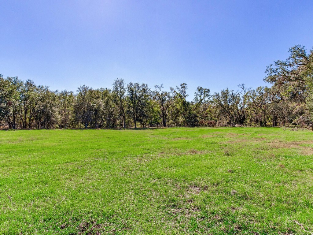 11312 Colding Road Wimauma FL 33598 TB8336904 image90