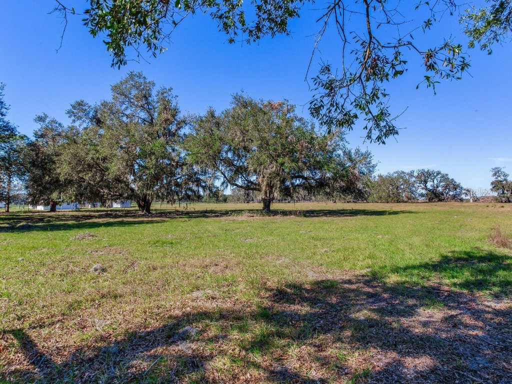 11312 Colding Road Wimauma FL 33598 TB8336904 image91