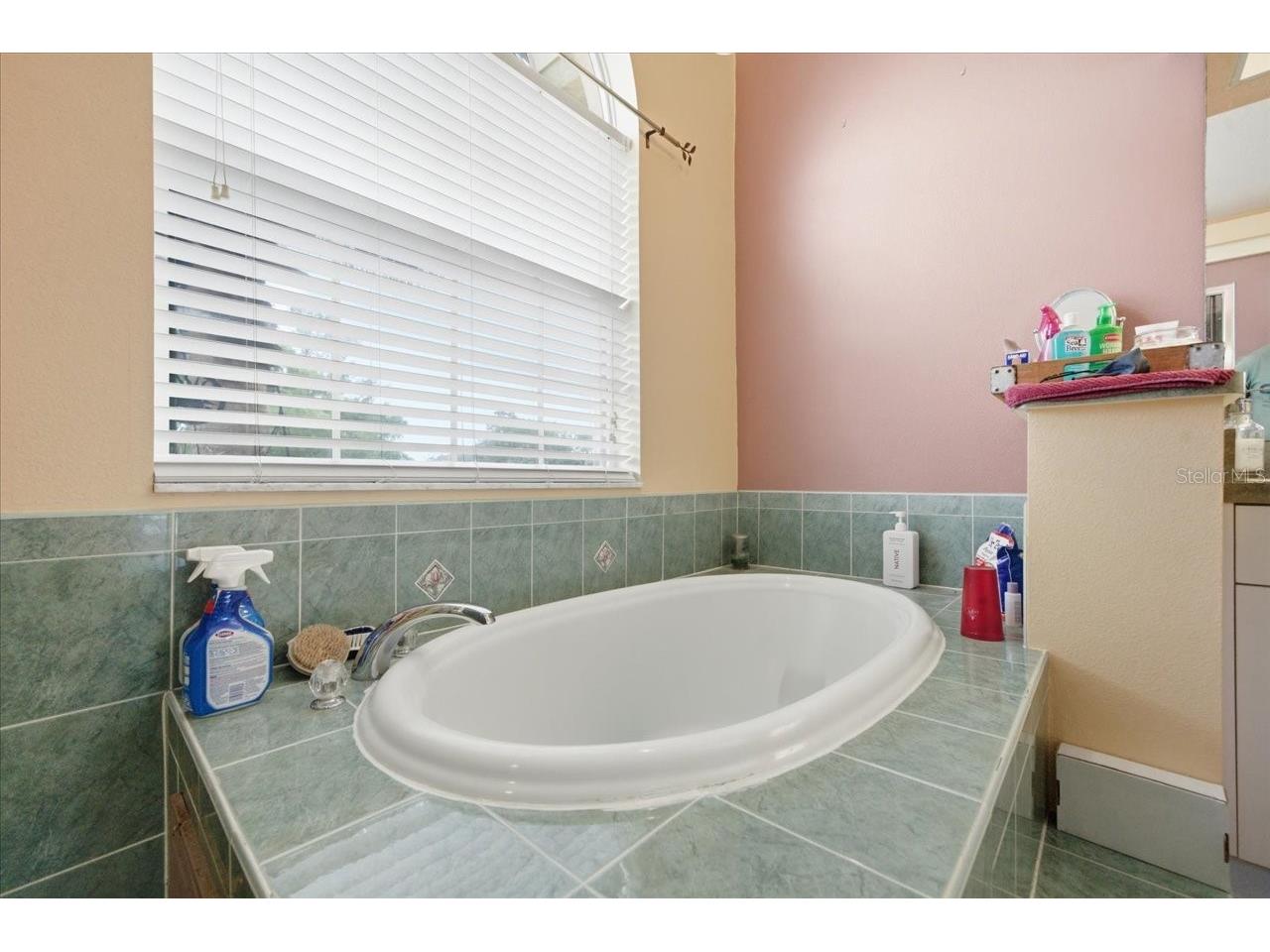 11312 Lark Sparrow Road Weeki Wachee FL 34614 TB8513167 image29
