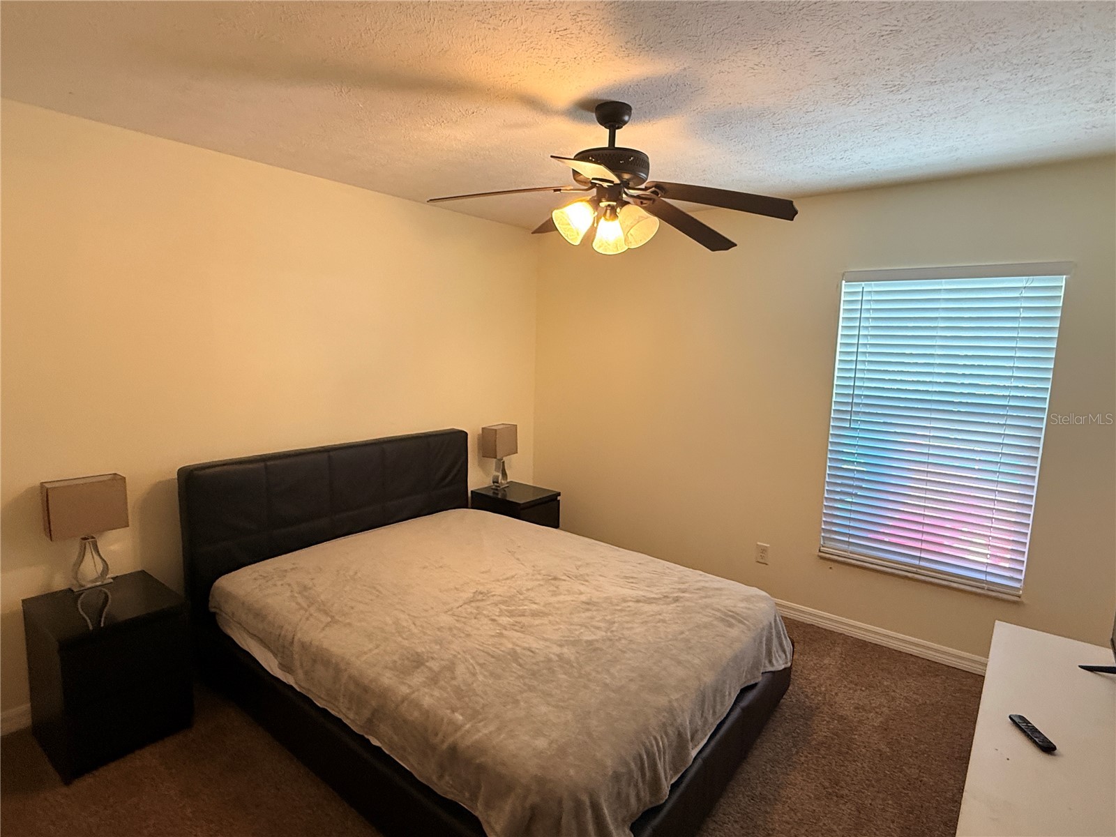 11313 Andy Drive Riverview FL 33569 TB8466686 image10