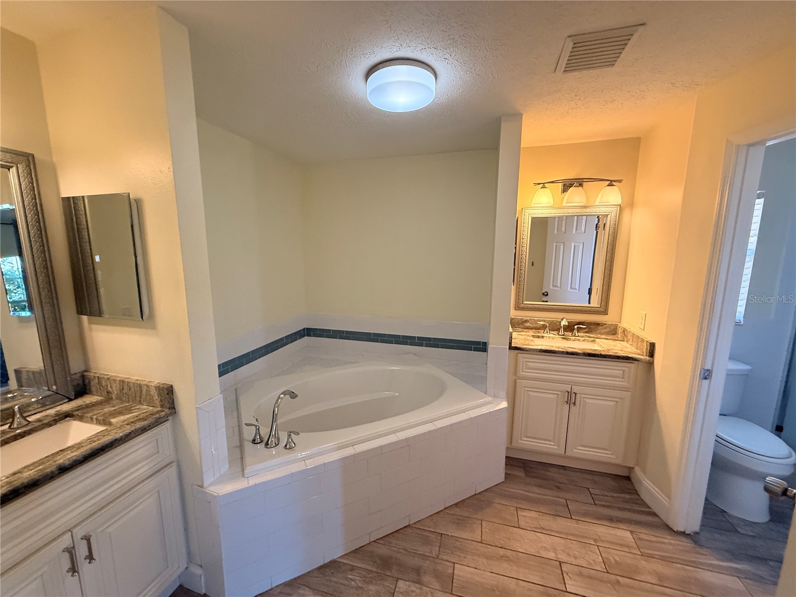 11313 Andy Drive Riverview FL 33569 TB8466686 image7