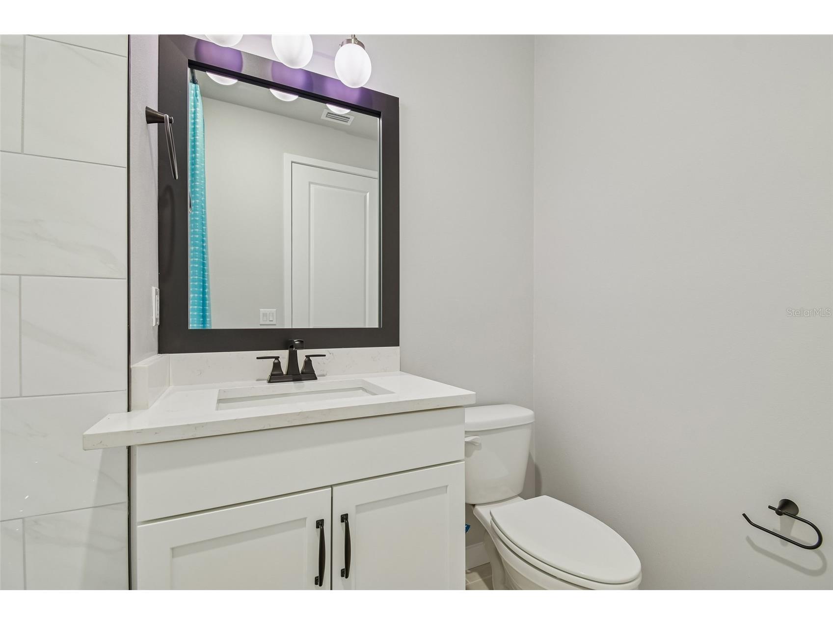 11313 Hardwood Hammock Lane Riverview FL 33569 TB8393791 image29