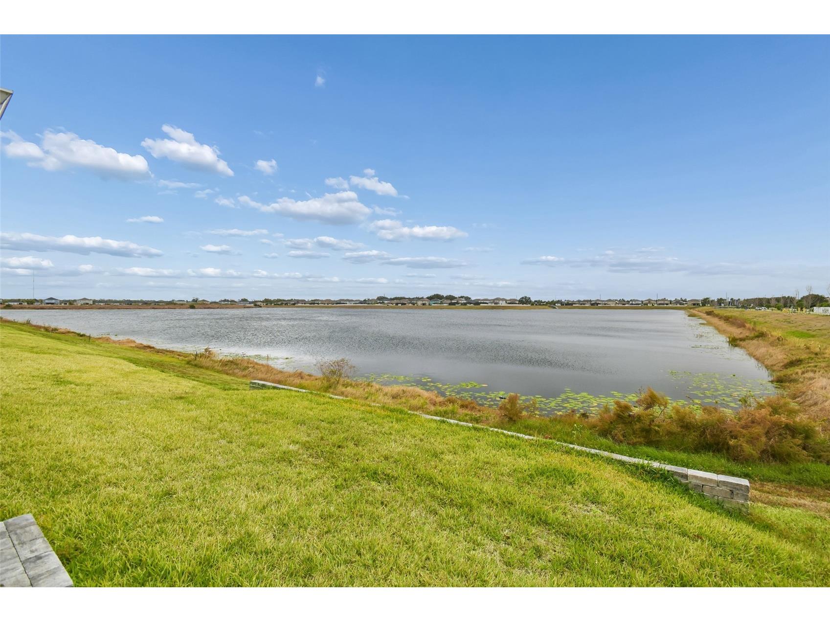 11313 Hardwood Hammock Lane Riverview FL 33569 TB8393791 image44