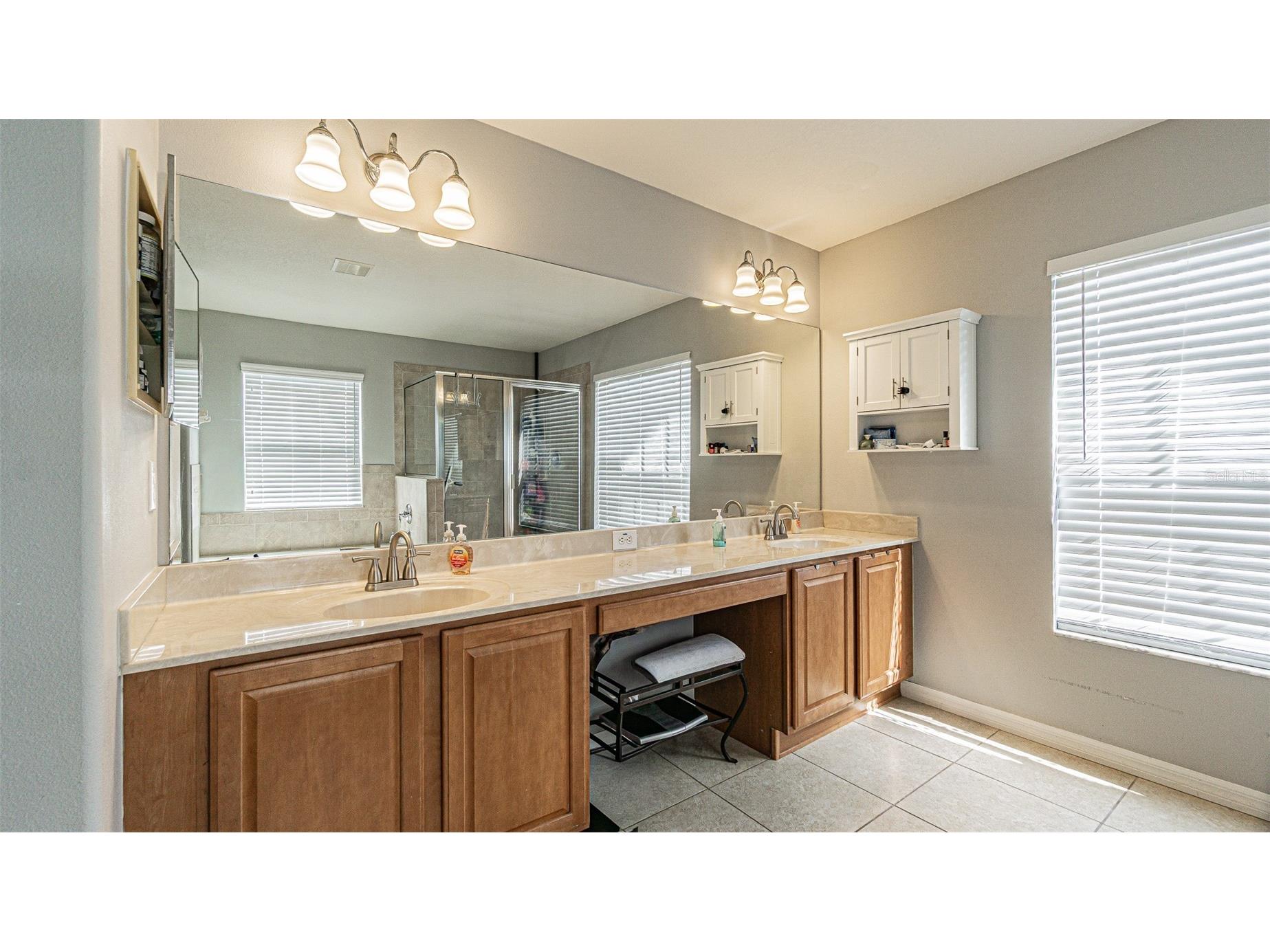 11314 Callaway Pond Drive Riverview FL 33579 TB8483376 image20