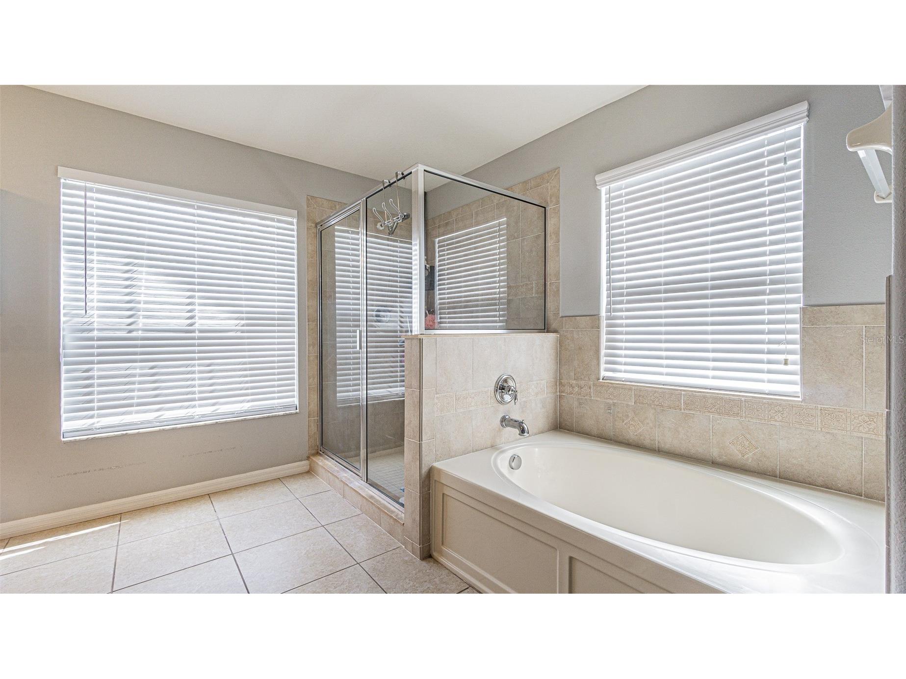 11314 Callaway Pond Drive Riverview FL 33579 TB8483376 image21