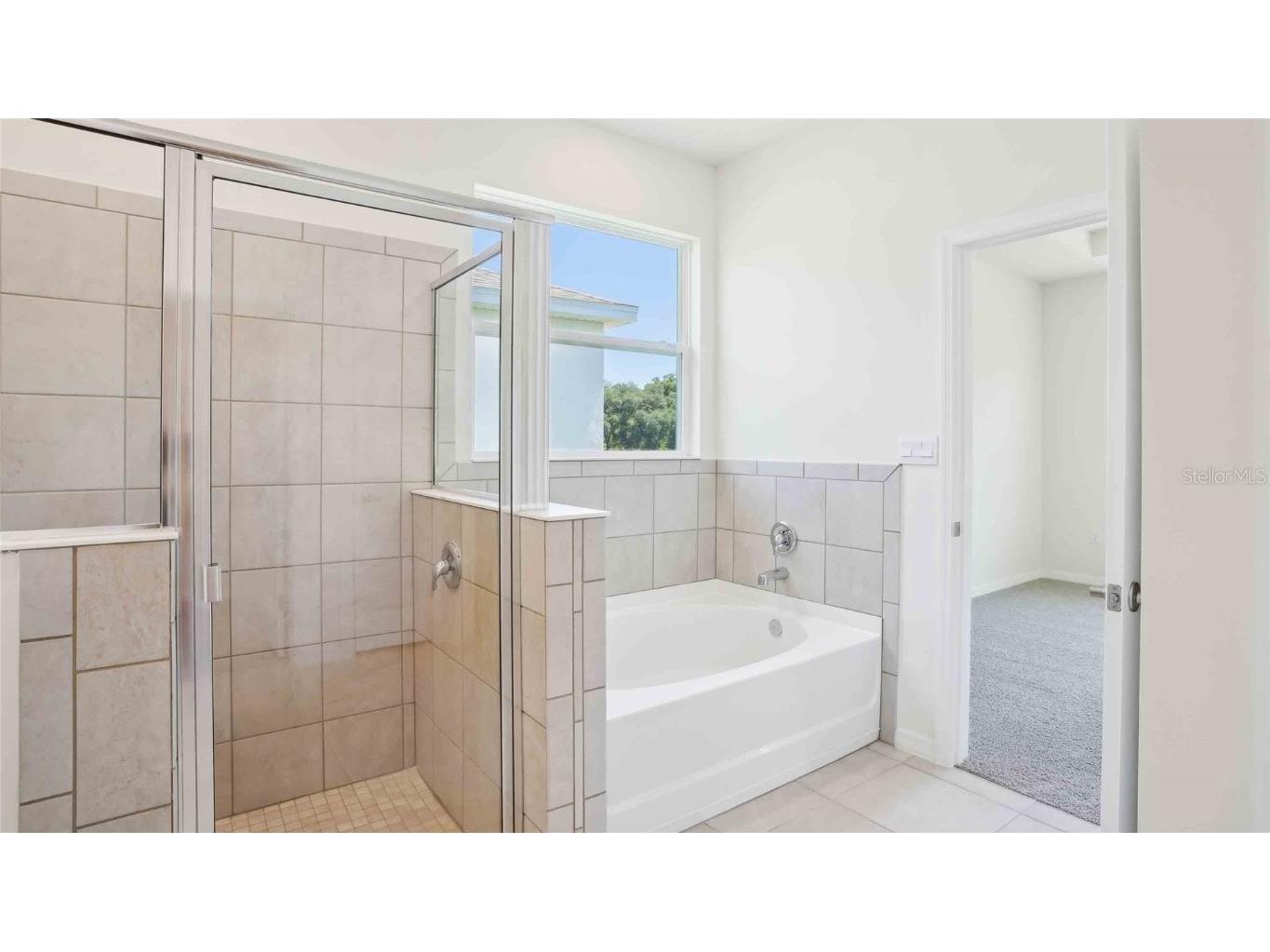 11314 Curio Drive Brooksville FL 34613 OM708508 image17