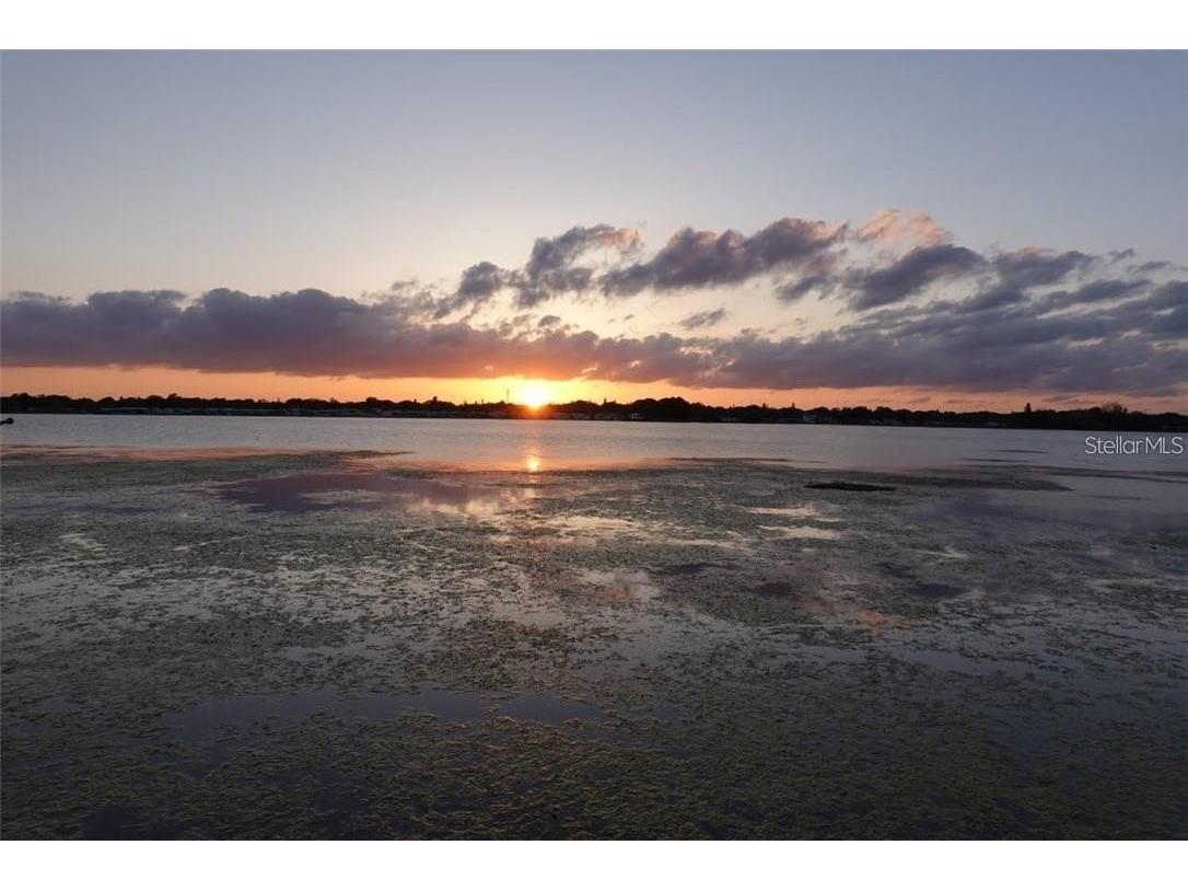 11314 Harborside Drive Largo FL 33773 - LAKE SEMINOLE TB8429899 image5