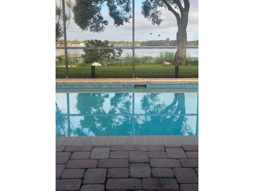 11314 Harborside Drive Largo FL 33773 - LAKE SEMINOLE TB8429899 image56