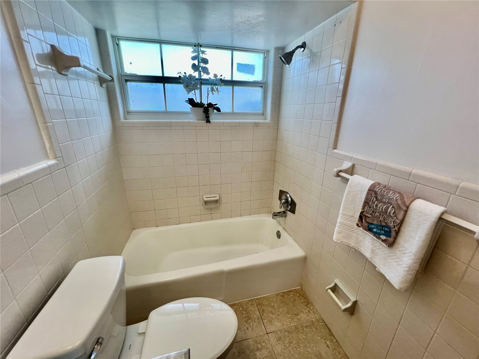 11315 3rd Street E #C Treasure Island FL 33706 TB8493692 image12