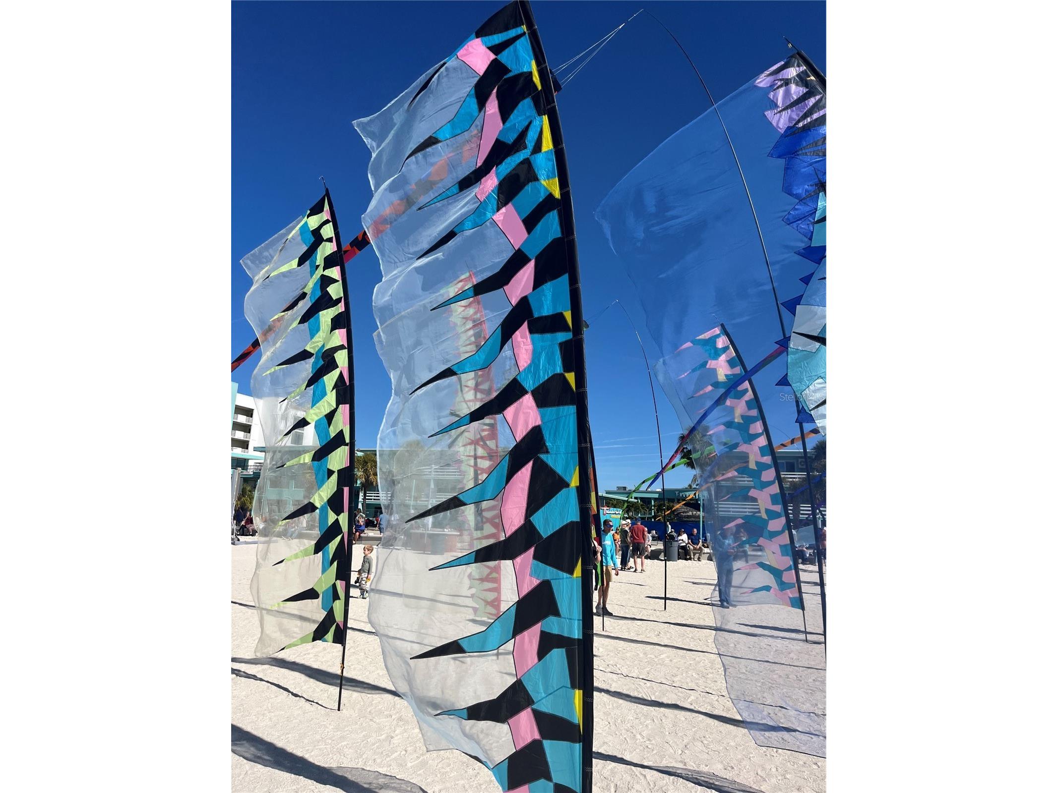 11315 3rd Street E Treasure Island FL 33706 TB8468697 image41