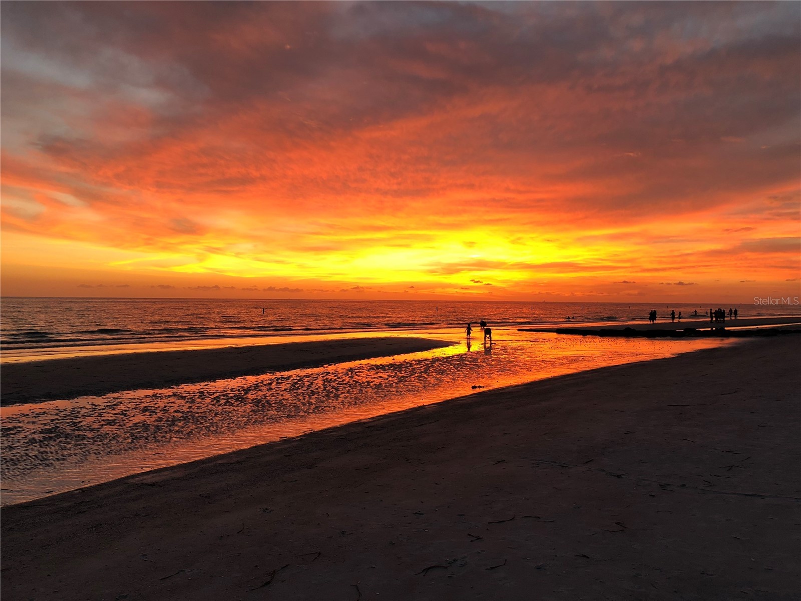 11315 3rd Street E Treasure Island FL 33706 TB8468697 image42