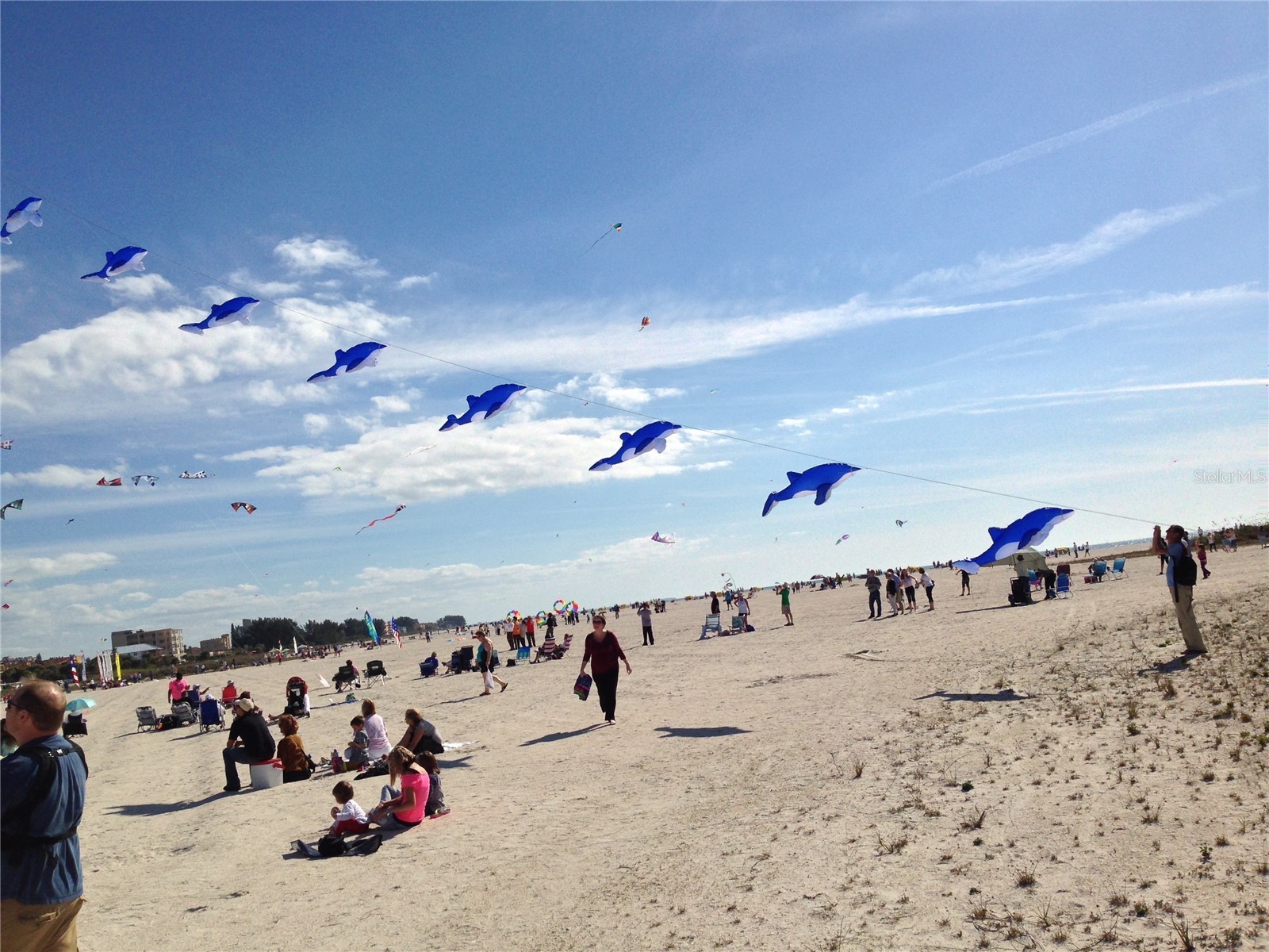 11315 3rd Street E Treasure Island FL 33706 TB8468697 image43