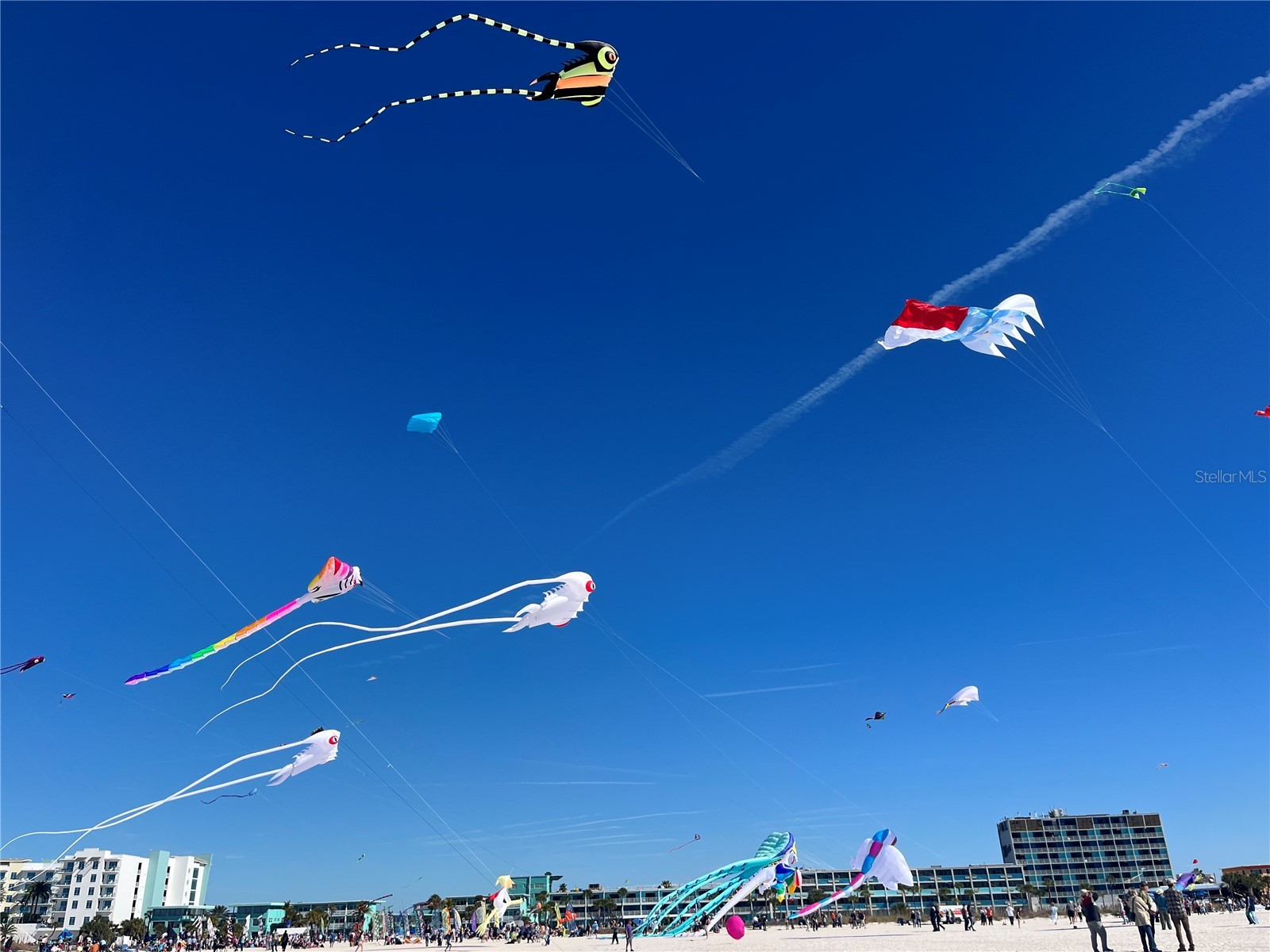 11315 3rd Street E Treasure Island FL 33706 TB8468697 image45