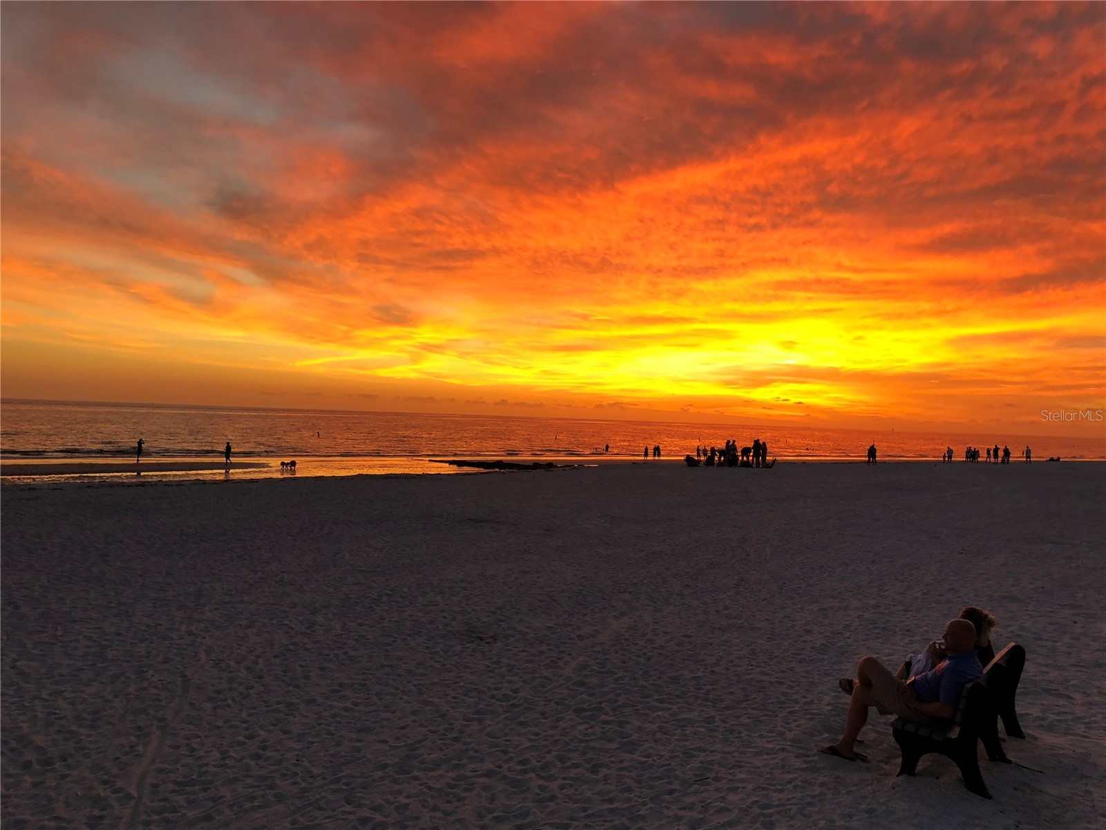 11315 3rd Street E Treasure Island FL 33706 TB8468697 image46