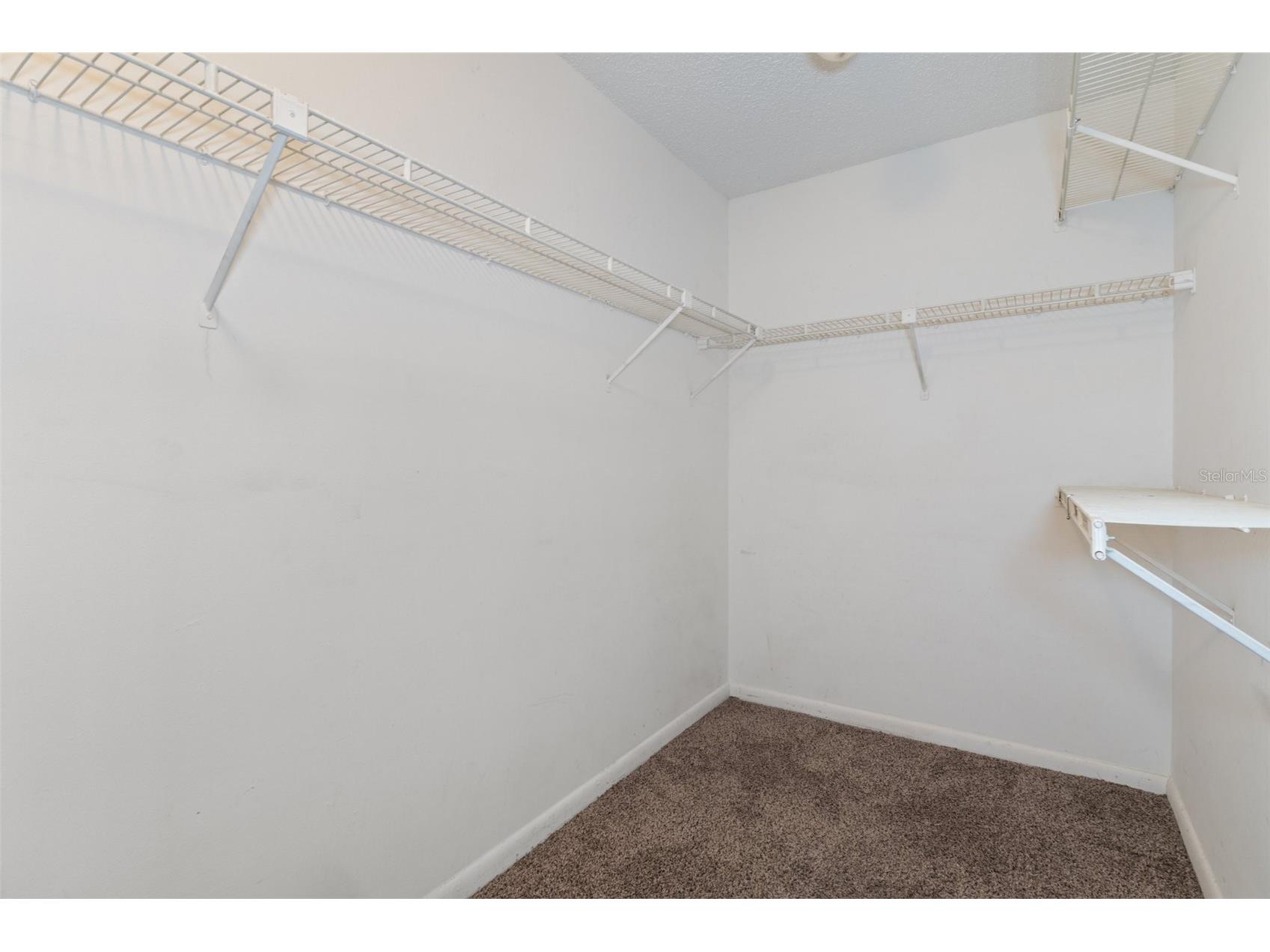 11315 N Ola Avenue Tampa FL 33612 TB8505370 image24