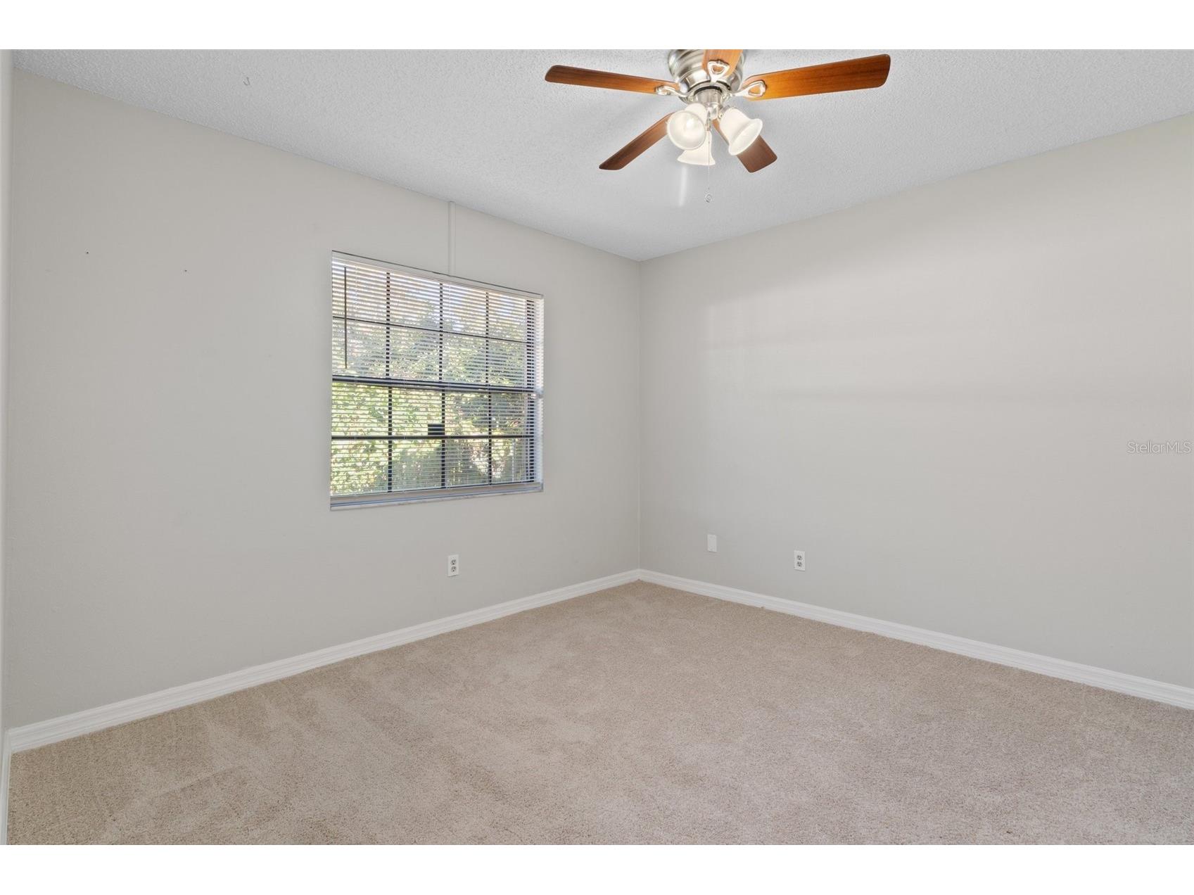 11315 N Ola Avenue Tampa FL 33612 TB8505370 image32