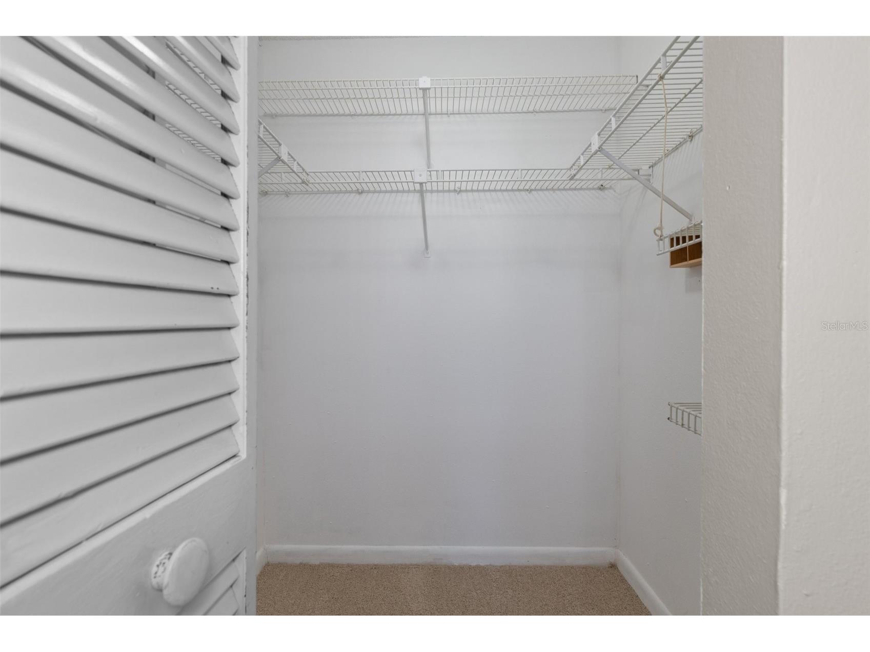 11315 N Ola Avenue Tampa FL 33612 TB8505370 image34