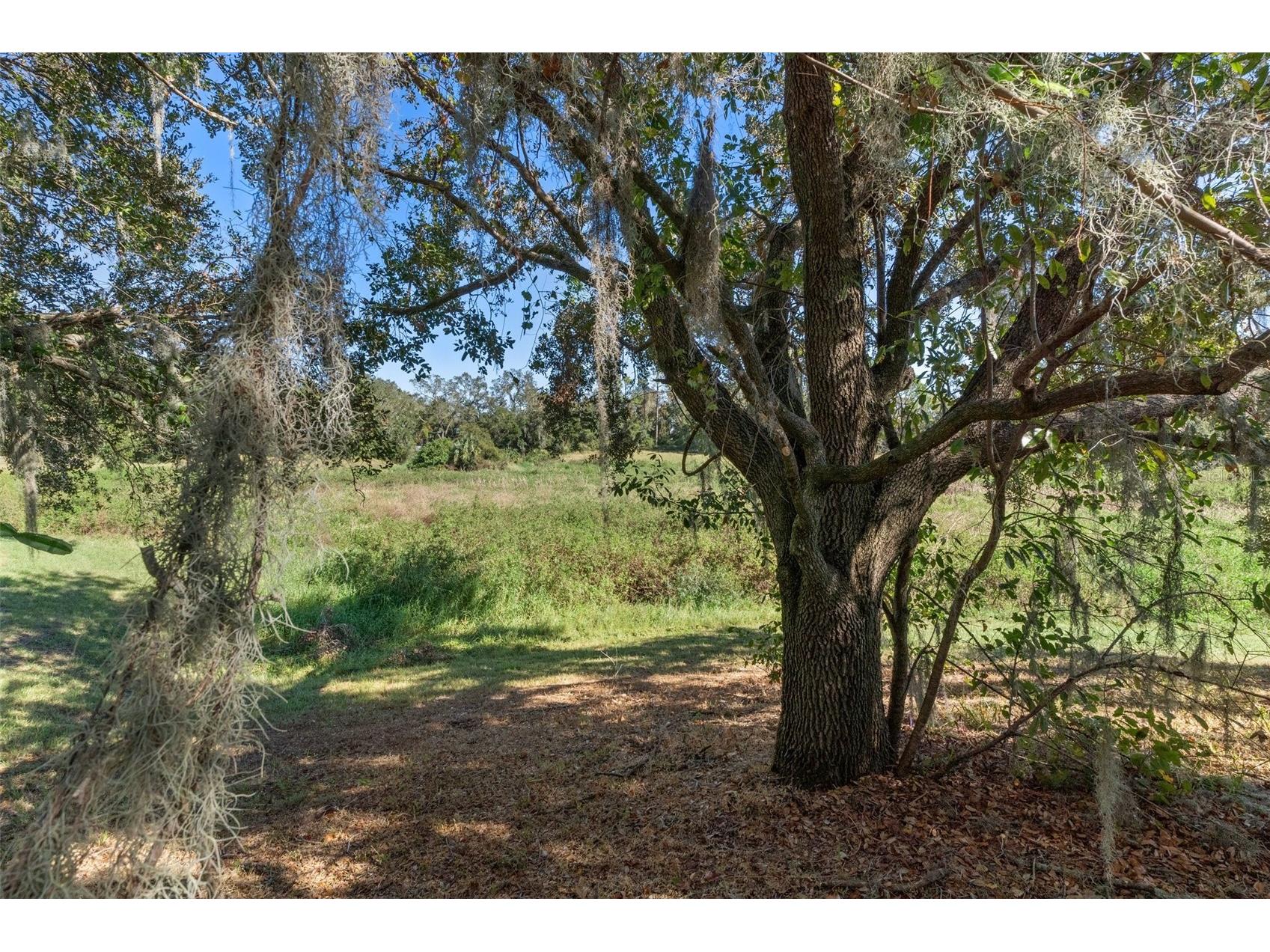 11315 N Ola Avenue Tampa FL 33612 TB8505370 image39