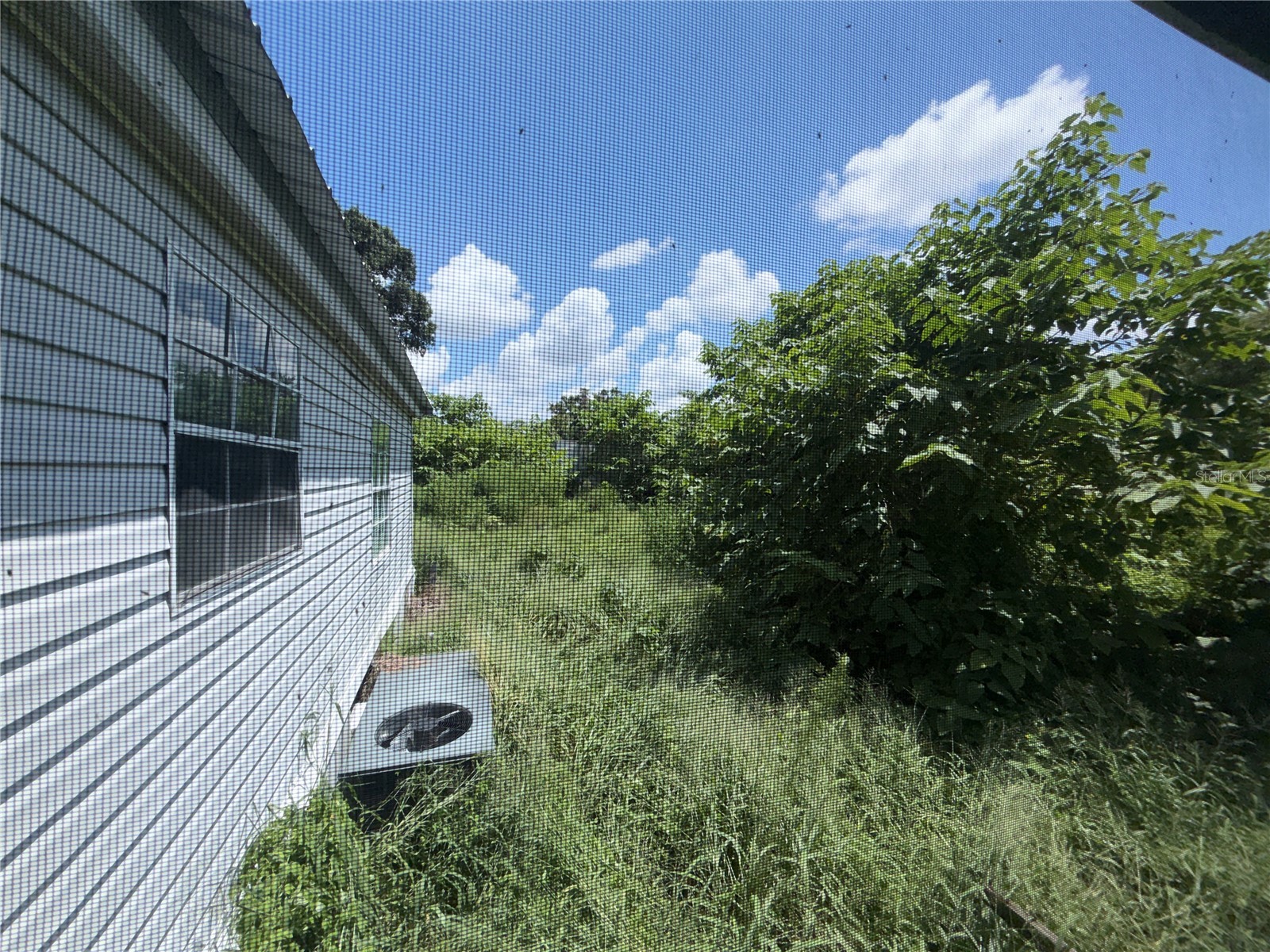 11316 Mcmullen Road Riverview FL 33569 TB8526630 image21
