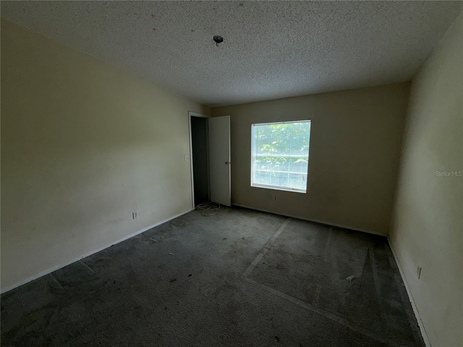 11316 Mcmullen Road Riverview FL 33569 TB8526630 image9
