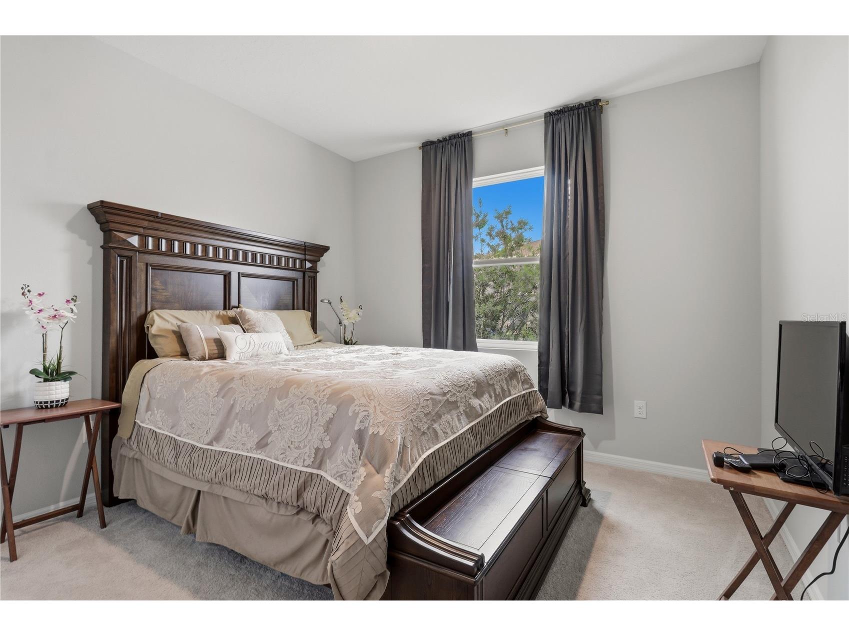 11316 Spoonbill Flock Way San Antonio FL 33576 TB8517214 image14