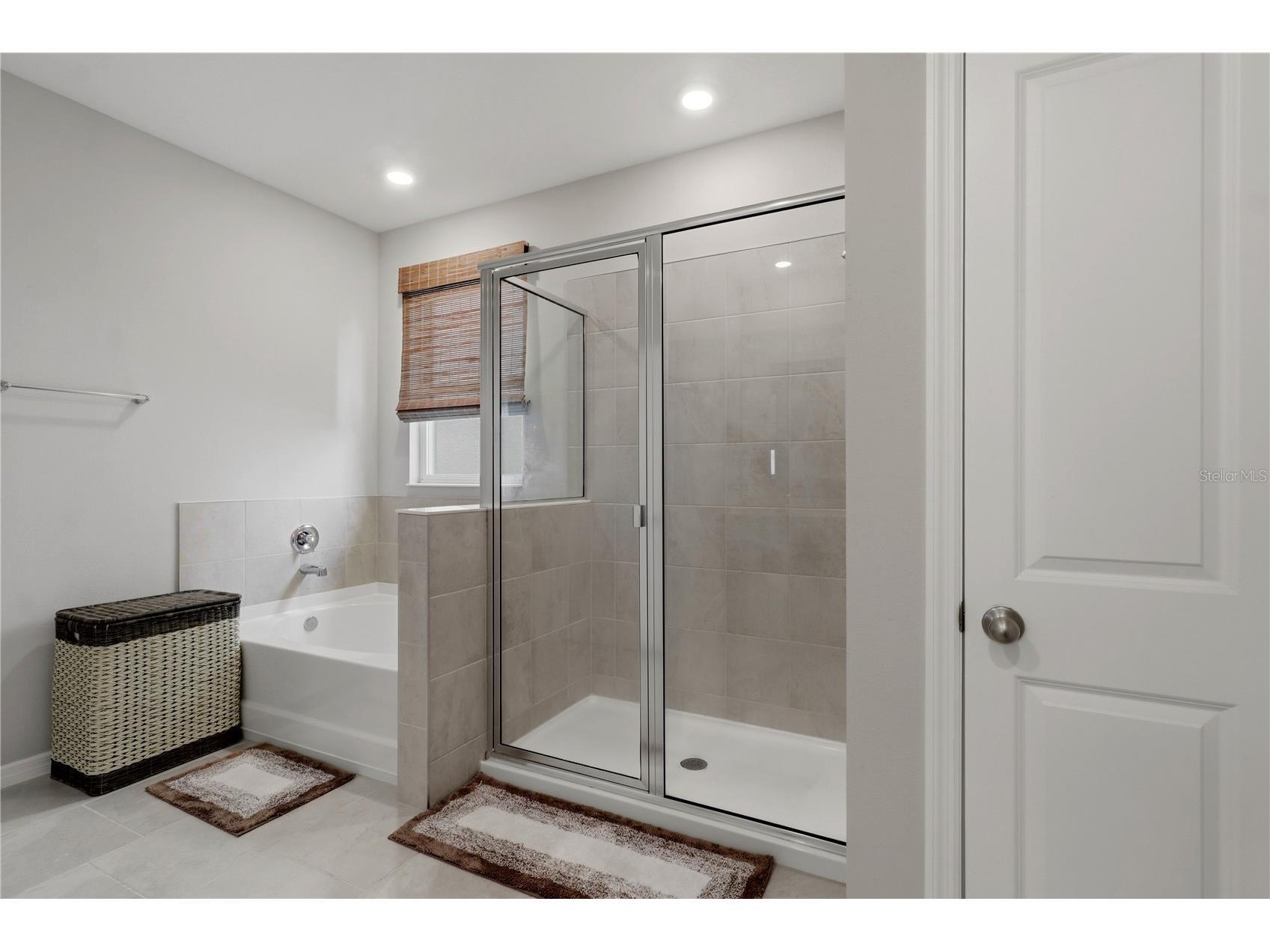 11316 Spoonbill Flock Way San Antonio FL 33576 TB8517214 image25