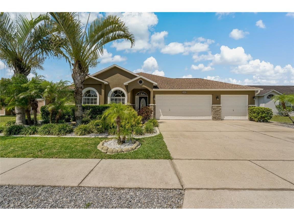 11317 Louisa May Way Riverview FL 33569 T3457088 image1