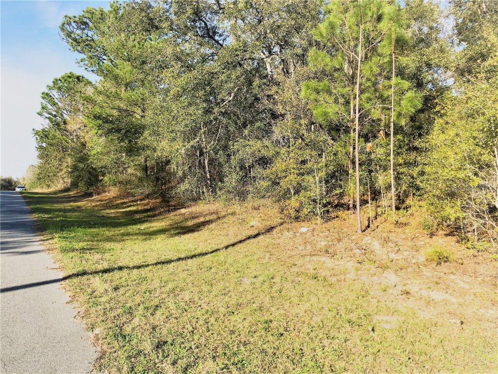 11317 N Bunny Terrace Citrus Springs FL 34434 OM653872 image1