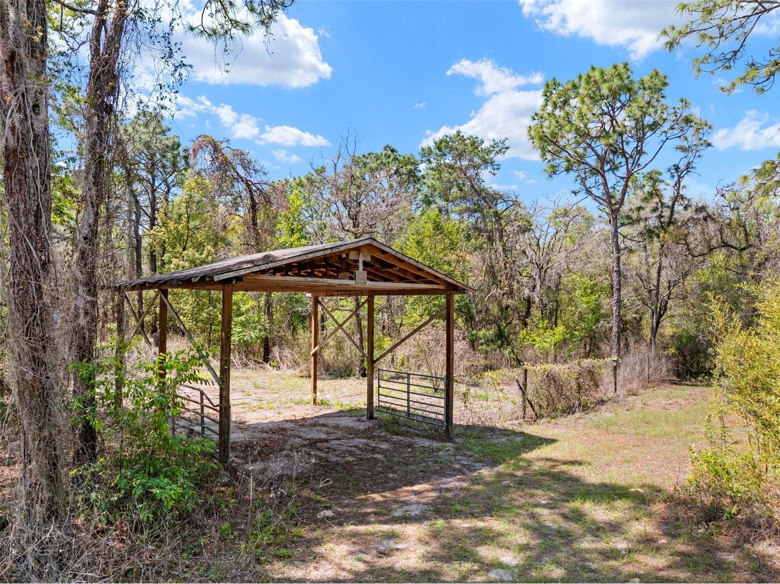 11317 Salina Street Brooksville FL 34614 TB8491652 image26