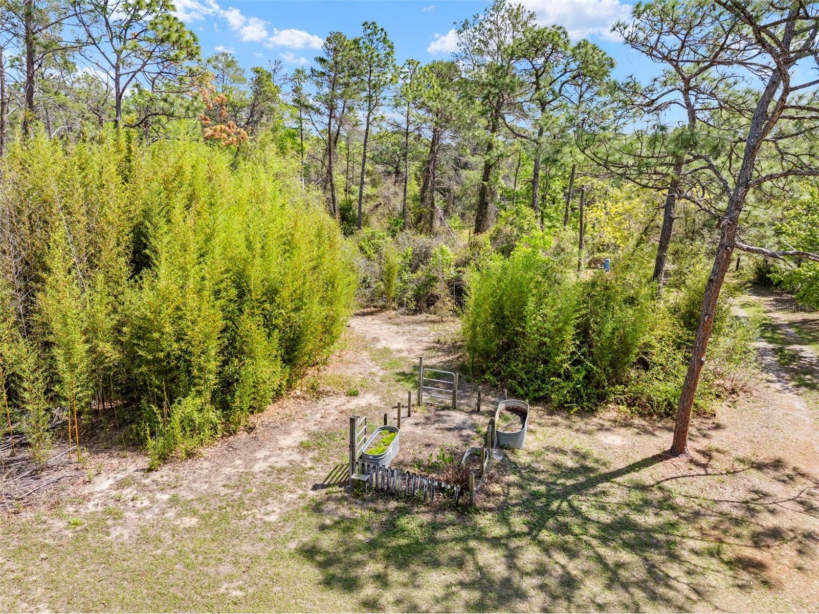 11317 Salina Street Brooksville FL 34614 TB8491652 image28
