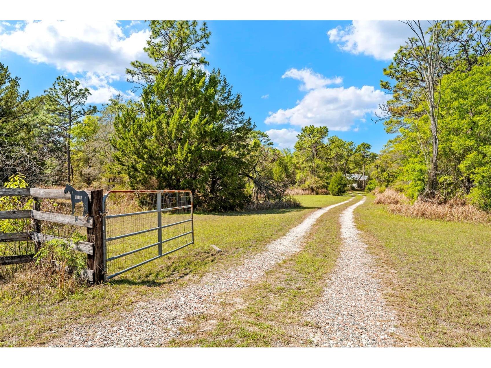 11317 Salina Street Brooksville FL 34614 TB8491652 image32
