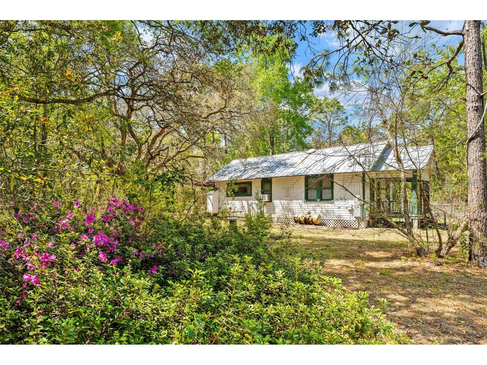 11317 Salina Street Brooksville FL 34614 TB8491652 image34