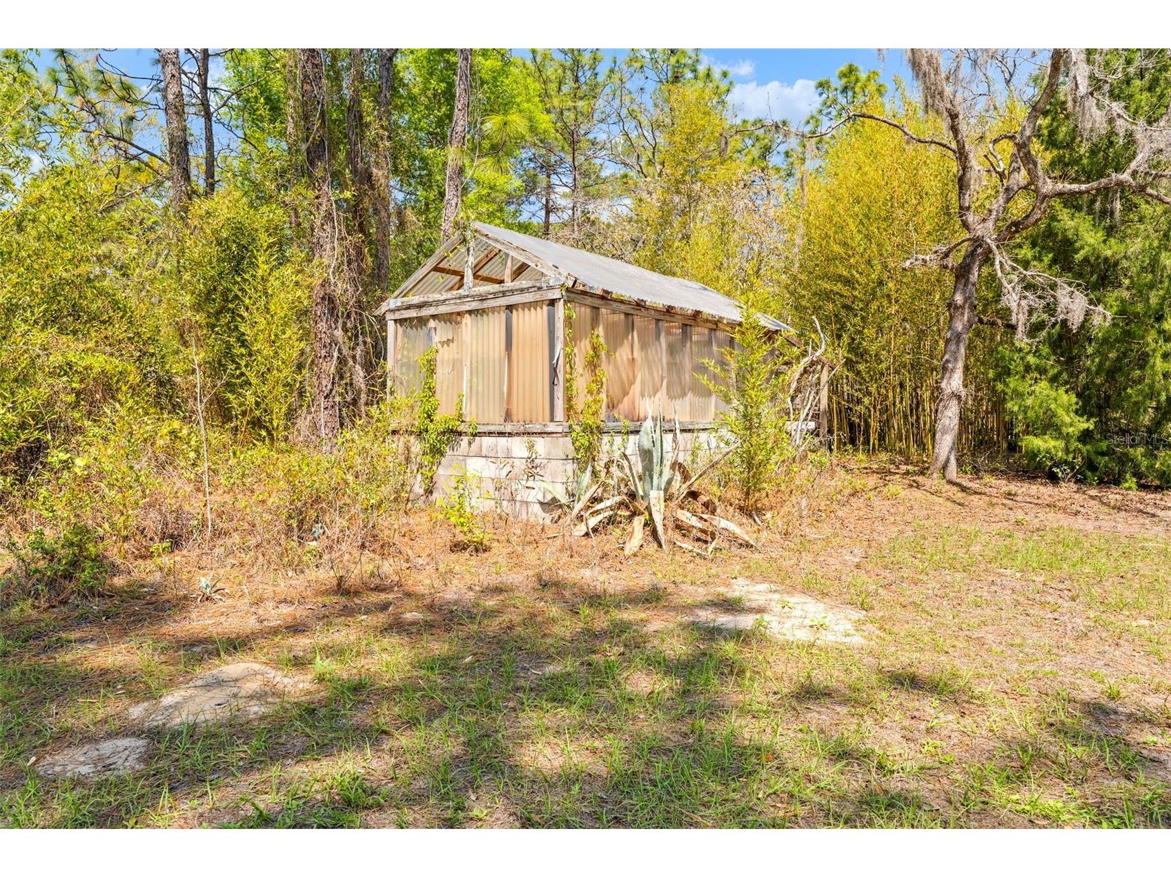 11317 Salina Street Brooksville FL 34614 TB8491652 image41