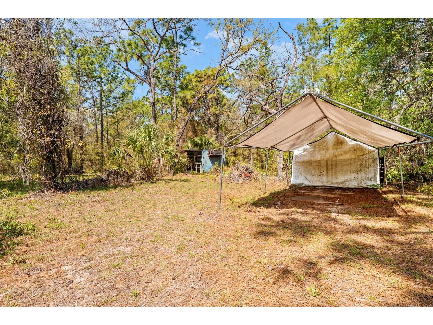 11317 Salina Street Brooksville FL 34614 TB8491652 image42