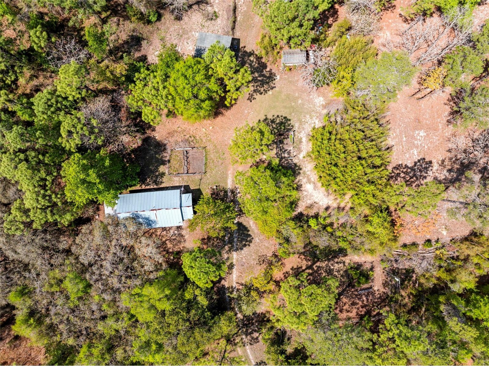 11317 Salina Street Brooksville FL 34614 TB8491652 image47