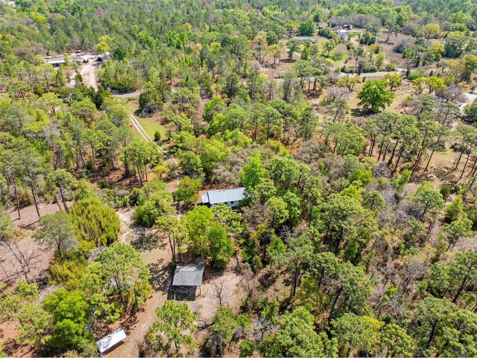 11317 Salina Street Brooksville FL 34614 TB8491652 image48