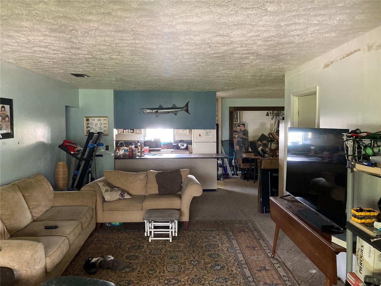 11317 Sylvan Green Lane Riverview FL 33569 TB8514100 image21
