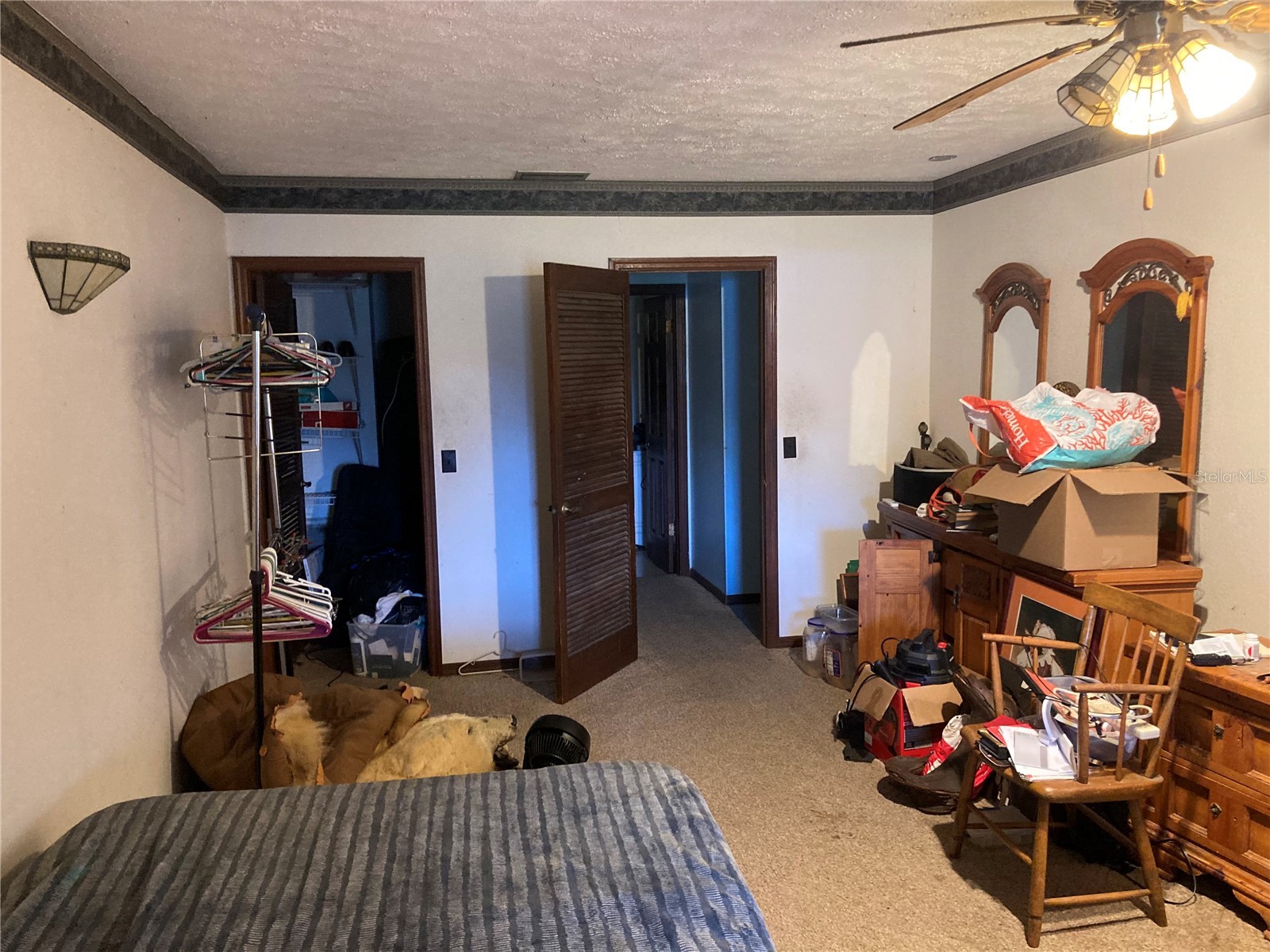 11317 Sylvan Green Lane Riverview FL 33569 TB8514100 image25