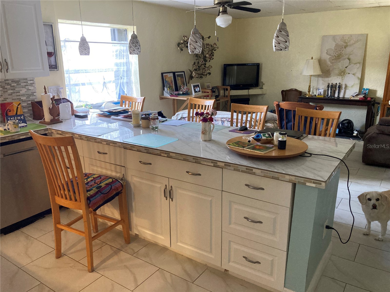 11317 Sylvan Green Lane Riverview FL 33569 TB8514100 image9