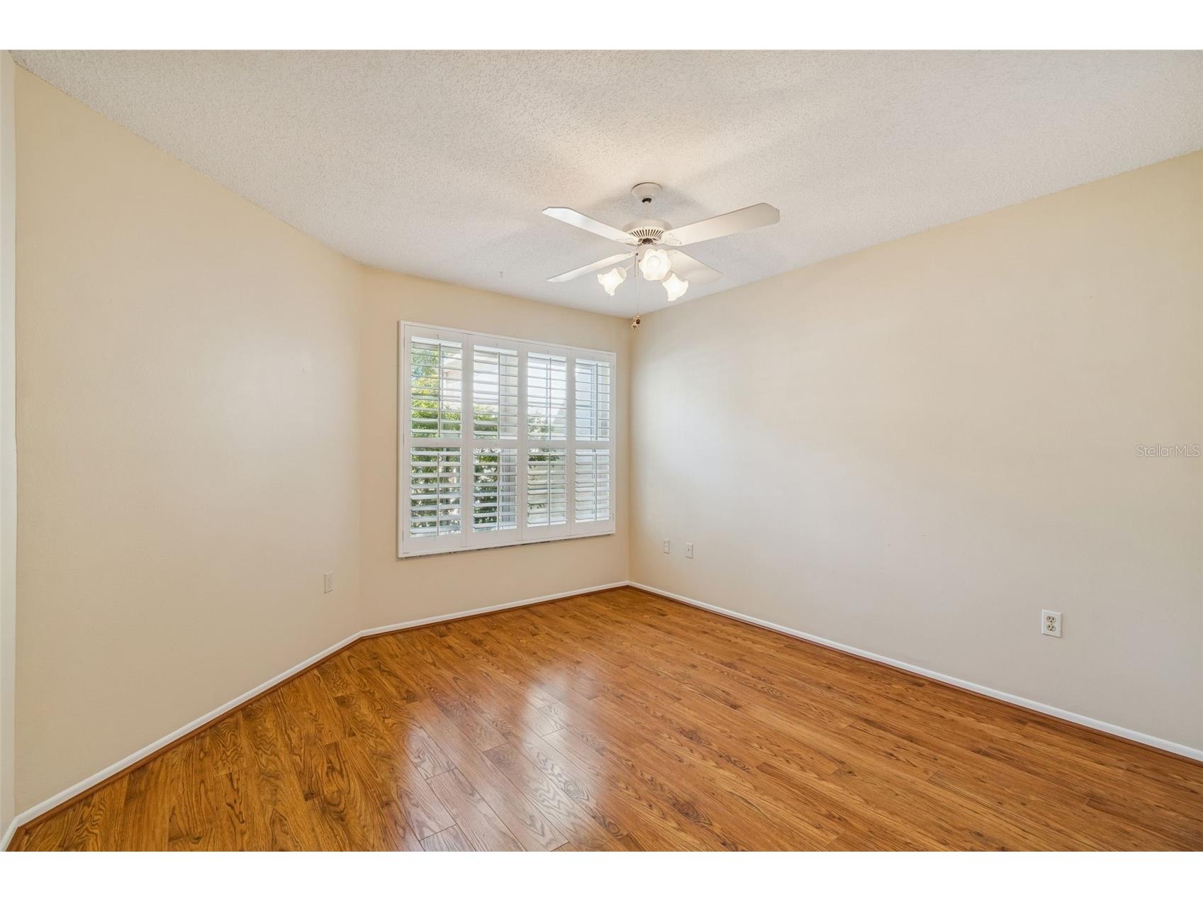 11317 Versailles Lane #5 Port Richey FL 34668 TB8474251 image25