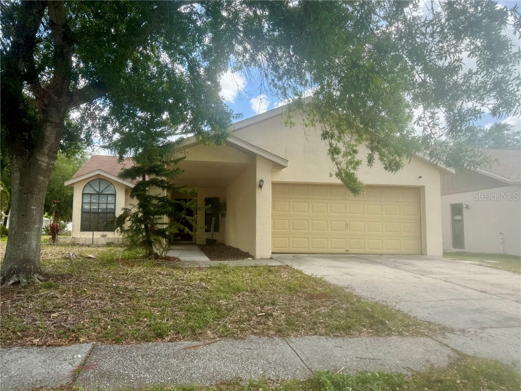 11318 Blackbark Drive Riverview FL 33579 A4647201 image1
